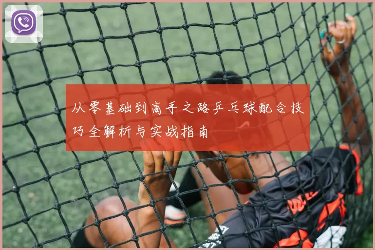 从零基础到高手之路乒乓球配合技巧全解析与实战指南