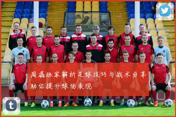 周磊独家解析足球技巧与战术分享助你提升球场表现