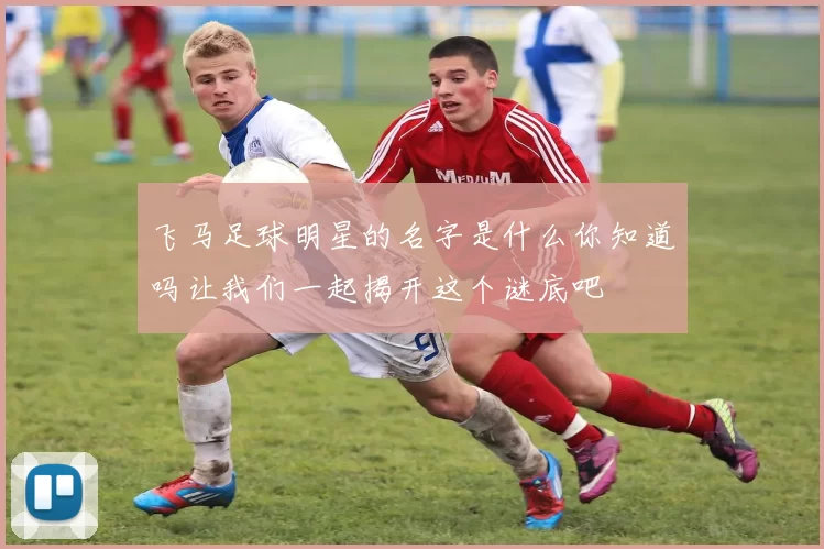 飞马足球明星的名字是什么你知道吗让我们一起揭开这个谜底吧
