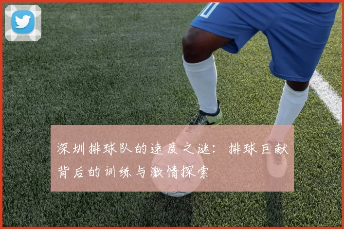 深圳排球队的速度之谜：排球巨献背后的训练与激情探索