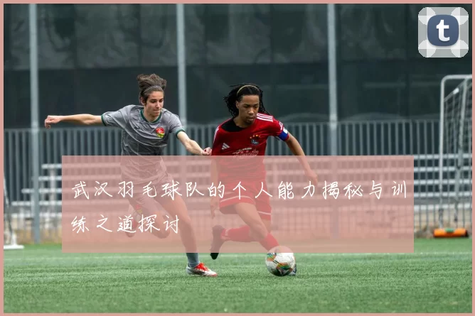 武汉羽毛球队的个人能力揭秘与训练之道探讨
