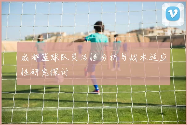 成都篮球队灵活性分析与战术适应性研究探讨