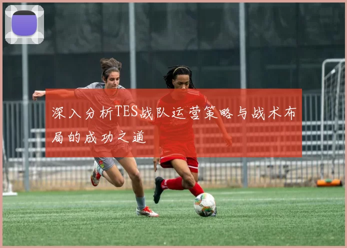 深入分析TES战队运营策略与战术布局的成功之道