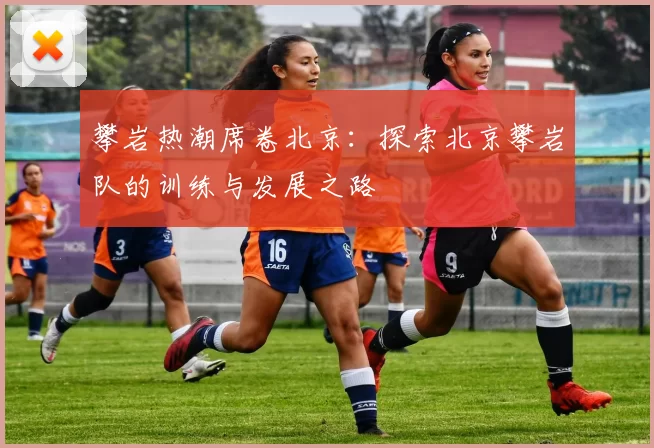 攀岩热潮席卷北京：探索北京攀岩队的训练与发展之路