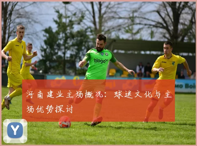 河南建业主场概况：球迷文化与主场优势探讨