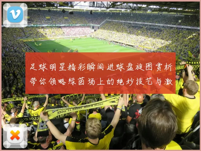 足球明星精彩瞬间进球盘旋图赏析带你领略绿茵场上的绝妙技艺与激情
