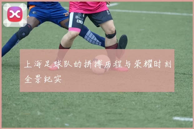 上海足球队的拼搏历程与荣耀时刻全景纪实