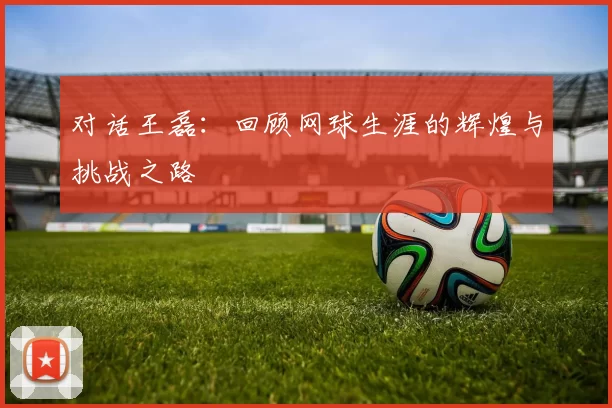 对话王磊：回顾网球生涯的辉煌与挑战之路