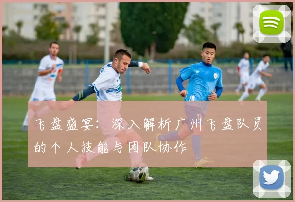 飞盘盛宴：深入解析广州飞盘队员的个人技能与团队协作